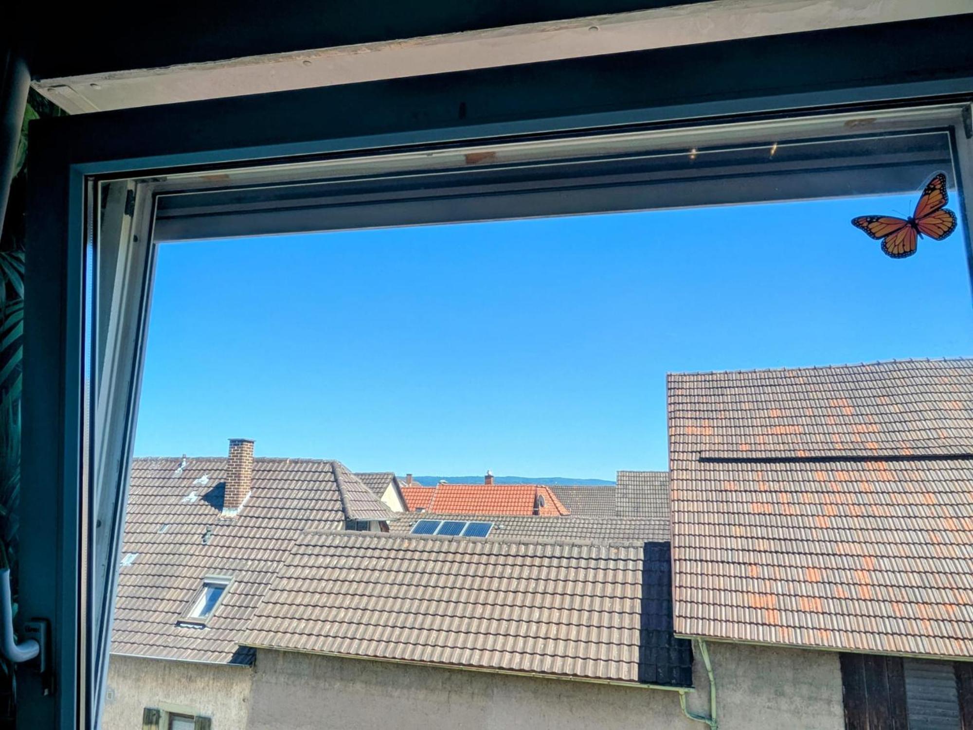 Delfina Naehe Europa Park Rust Apartment Kappel-Grafenhausen Luaran gambar